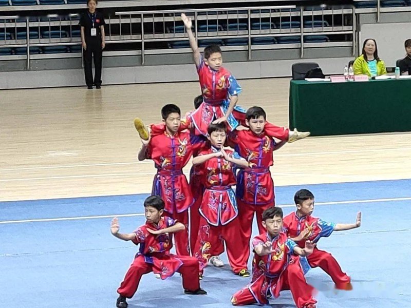 临沂武术学校：传承武术文化 引领未来英豪
