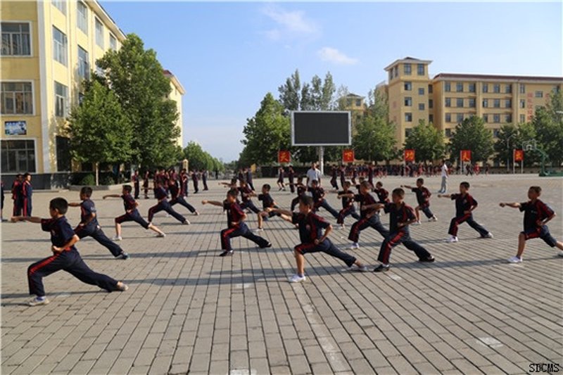 临沂武术学校最新动态:传统与现代交融的艺术殿堂